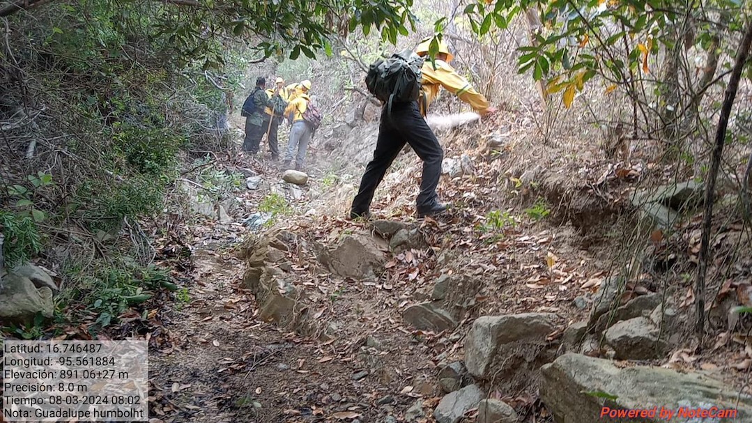 Notifica Coesfo control total en incendio de Santiago Lachiguiri