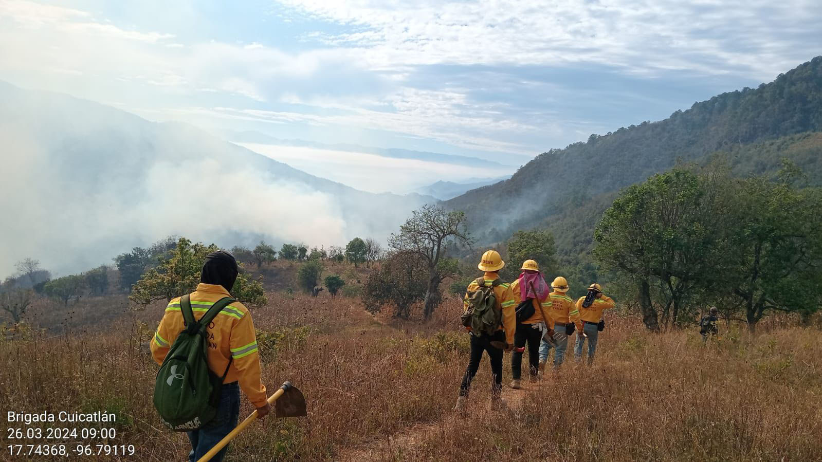 Coesfo y Conanp atienden incendio en Sierra de Flores Magón