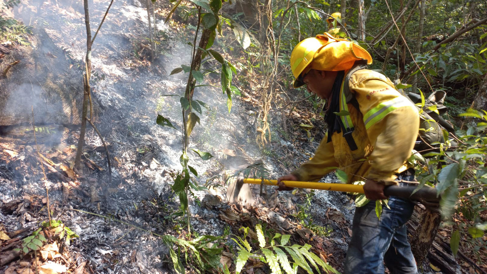 Liquidados cuatro incendios forestales en la Sierra de Juárez y Mixteca