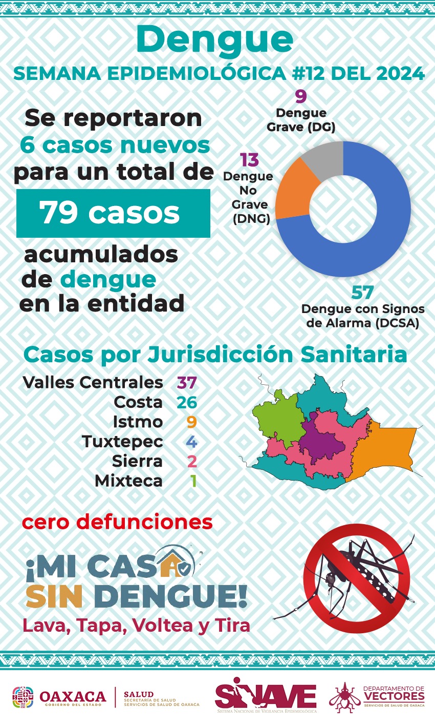 Limpieza en los hogares, fundamental para prevenir el dengue: SSO
