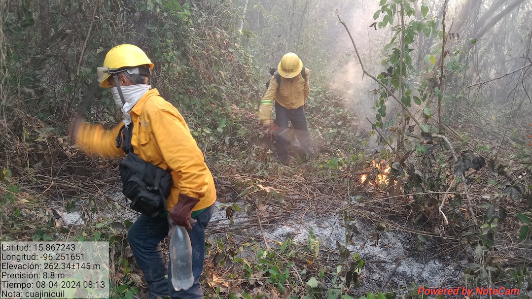 Controla Coesfo al 100% incendio entre Santa María Huatulco y San Miguel del Puerto