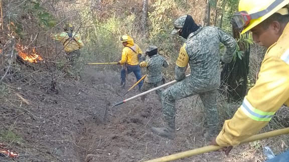 Liquida Coesfo incendio forestal en los Loxichas; atienden reporte en Santa María Sola
