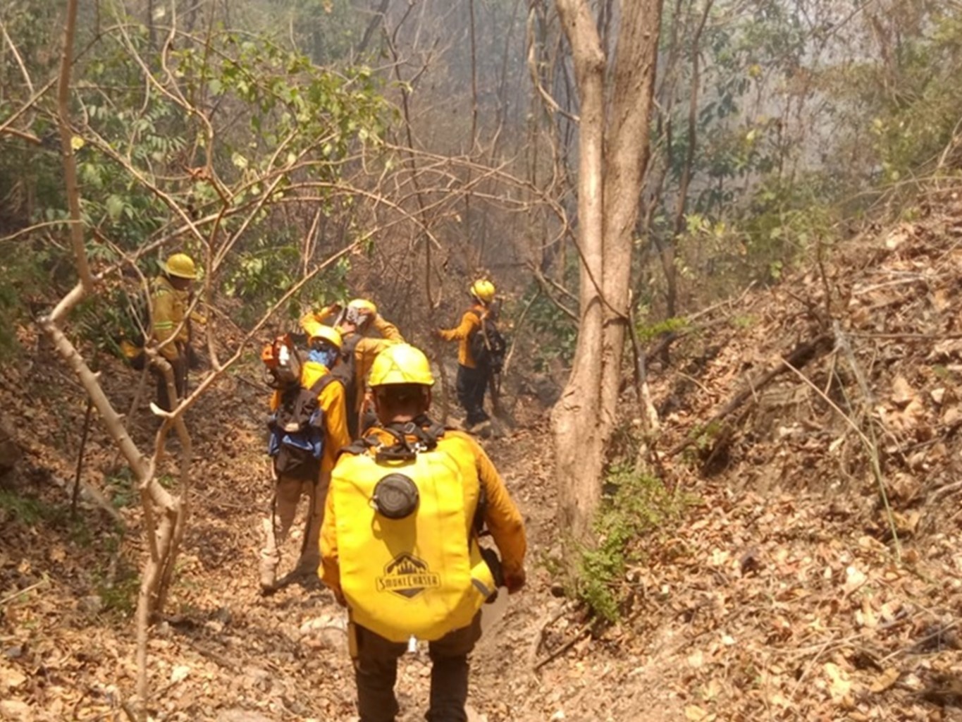 Atiende Coesfo incendio intermunicipal de Santa María Huatulco y San Miguel del Puerto