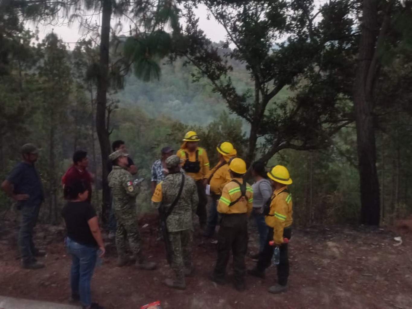 Liquida Coesfo incendio forestal en los Loxichas; atienden reporte en Santa María Sola