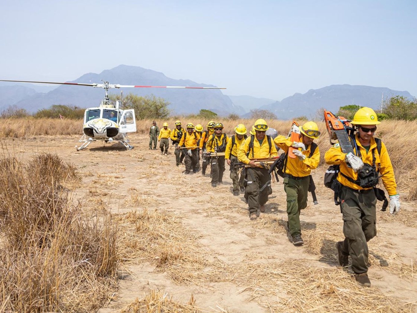 Prácticas agrícolas mal encauzadas originan el 94% de incendios forestales