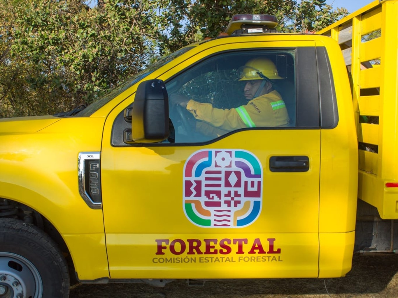 Atiende Coesfo reporte de incendio forestal en San Andrés Huayápam
