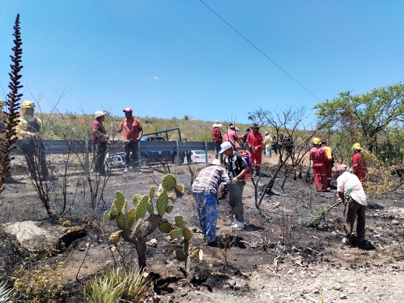 Controla Coesfo incendio forestal en límites de Oaxaca y Puebla