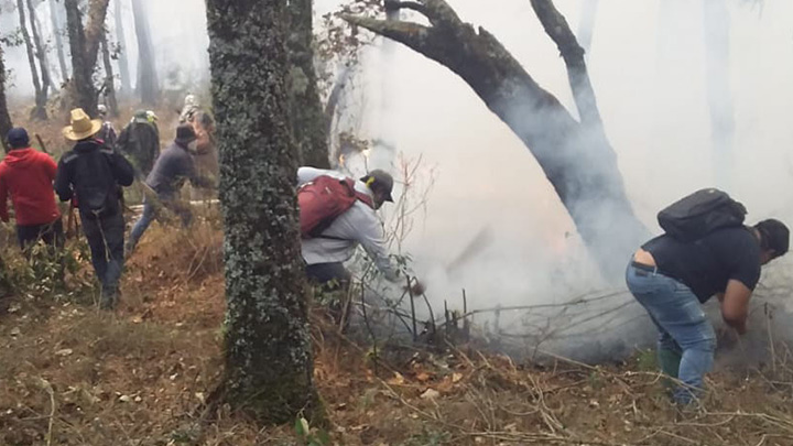 Reportan 75% de control en incendio forestal de San Andrés Huayapam