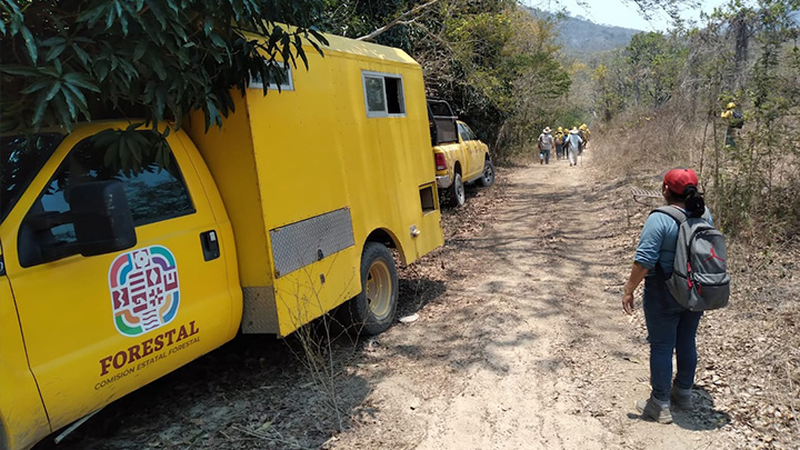 Atiende Coesfo incendio forestal en San Pedro Amuzgos