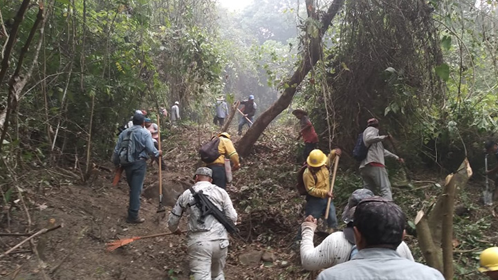 Refuerza Coesfo atención a incendio forestal en la Mixteca