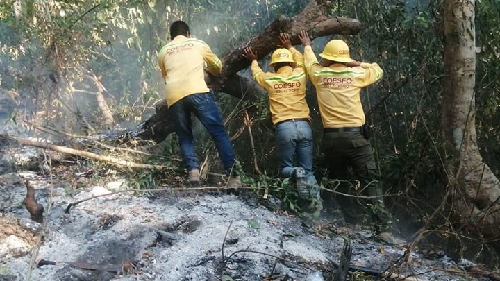 Liquida Coesfo incendio forestal en Santos Reyes Nopala y San Gabriel Mixtepec