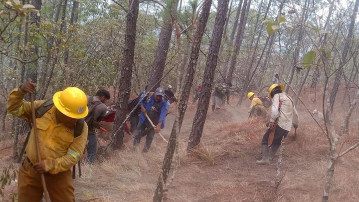 Continúa atención a incendio forestal en la zona Chontal