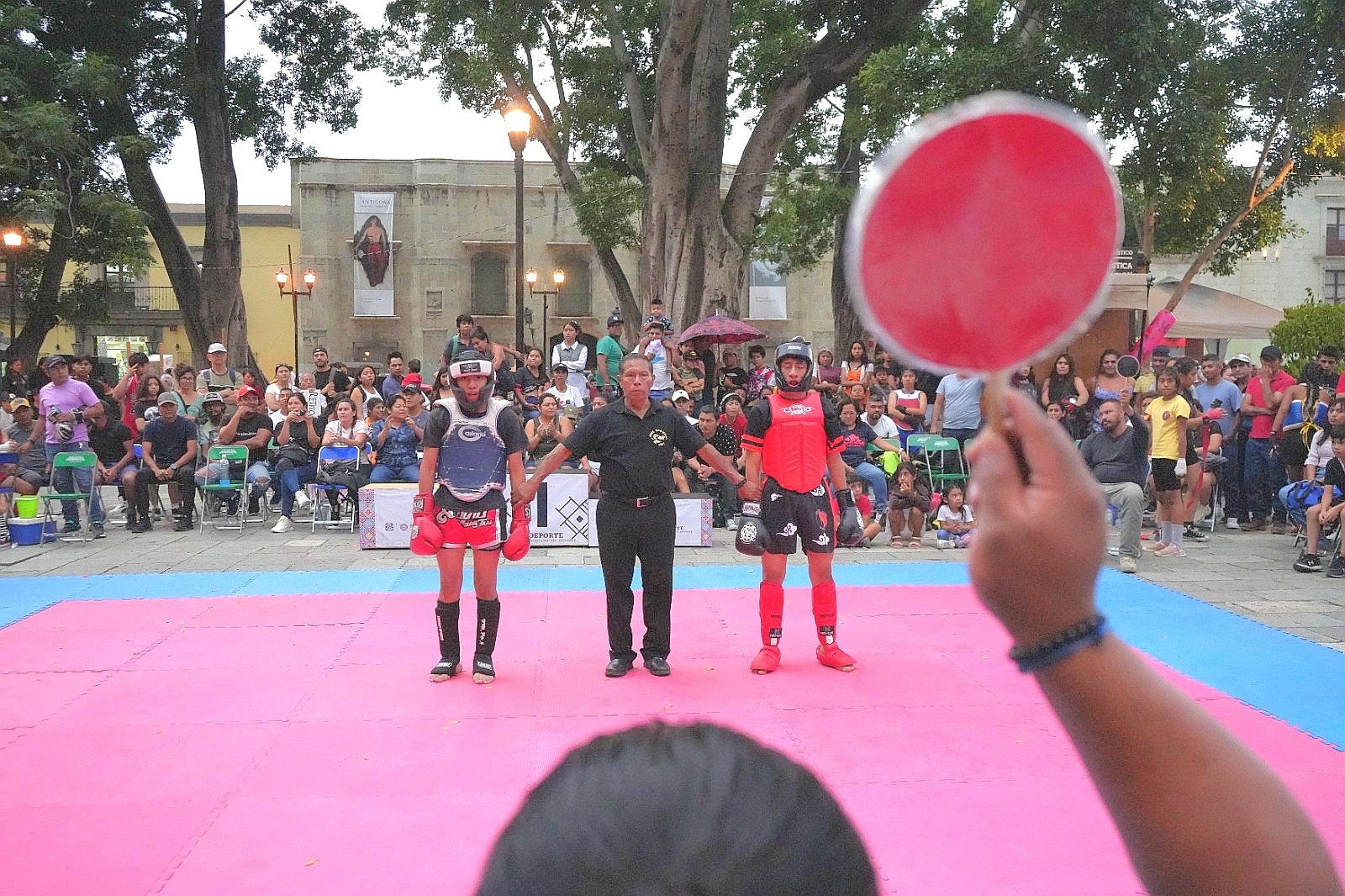 Realizan primera edición del Festival de Deportes de Combate