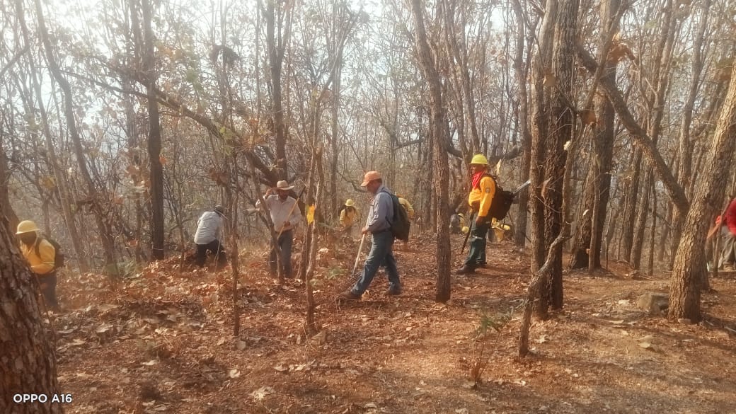 Controlado al 100 por ciento incendio en la Costa