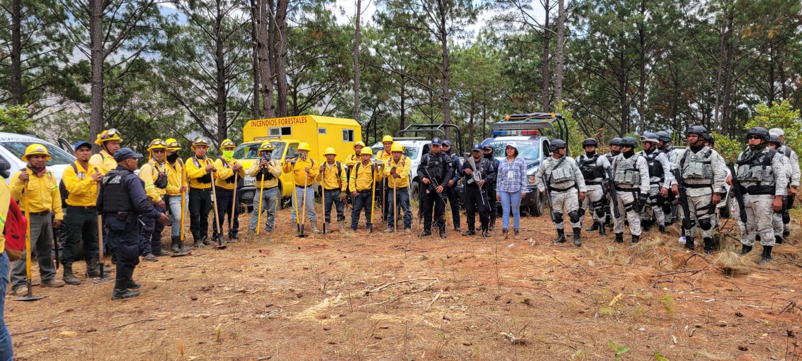 Atienden incendio forestal en Santiago Juxtlahuaca