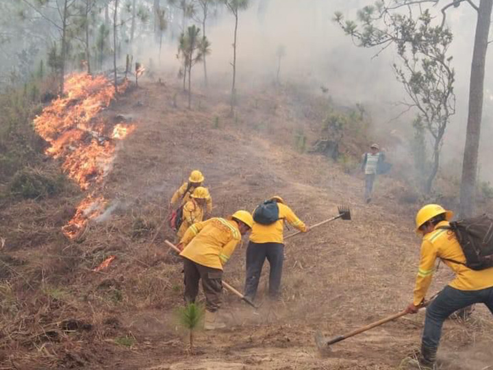 Atiende Coesfo incendio en la Sierra Sur