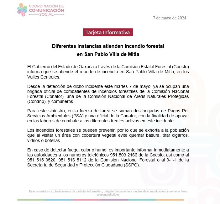 Diferentes instancias atienden incendio forestal en San Pablo Villa de Mitla