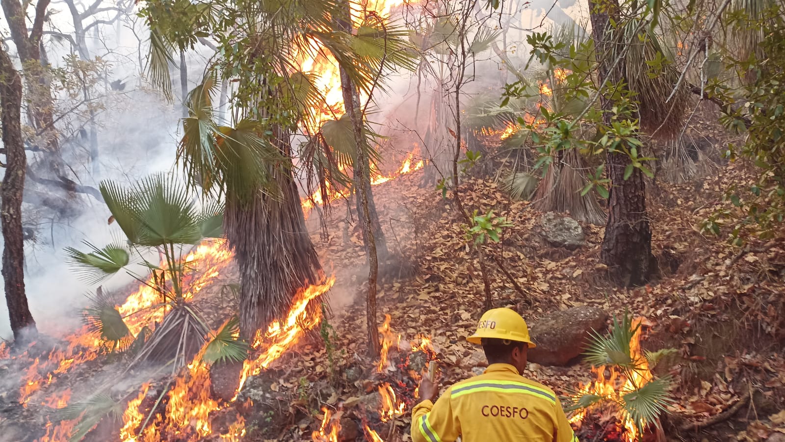 Continúa combate de incendio forestal en la región Mixteca