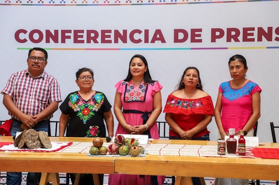 Invitan a la 50 edición de la Feria Regional de la Pitaya 2024