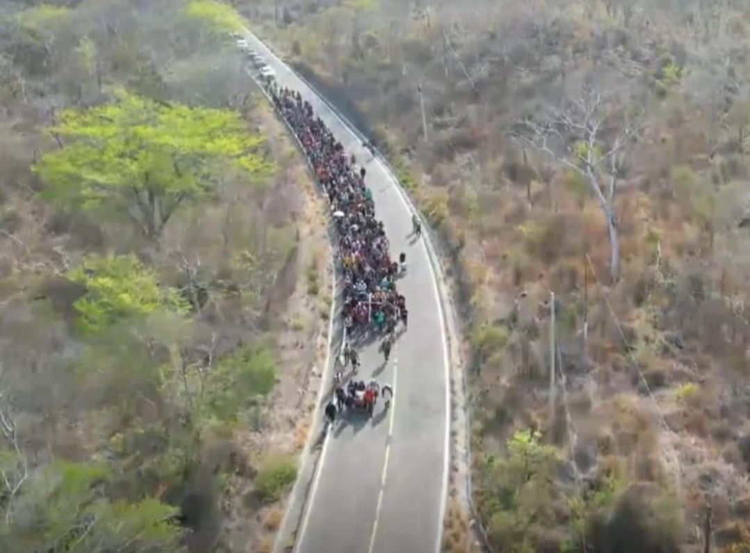 Autoridades garantizan tránsito ordenado y seguro a población migrante en su paso por Oaxaca
