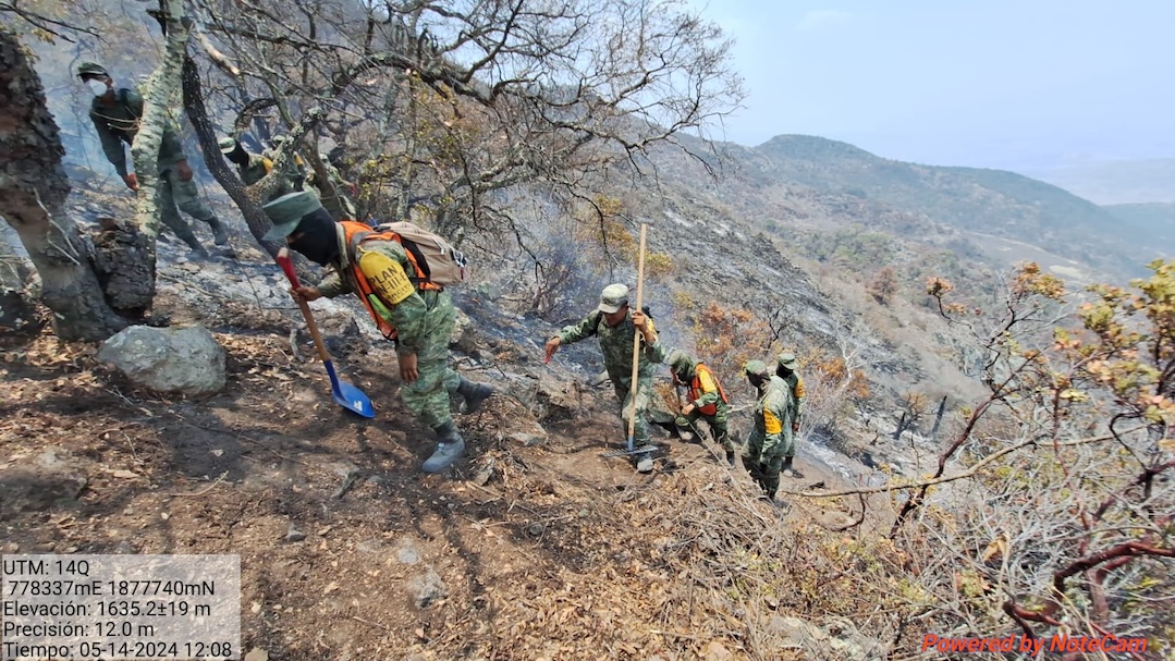 Controlado al 100% incendio forestal en San Pablo Villa de Mitla y Villa Díaz Ordaz