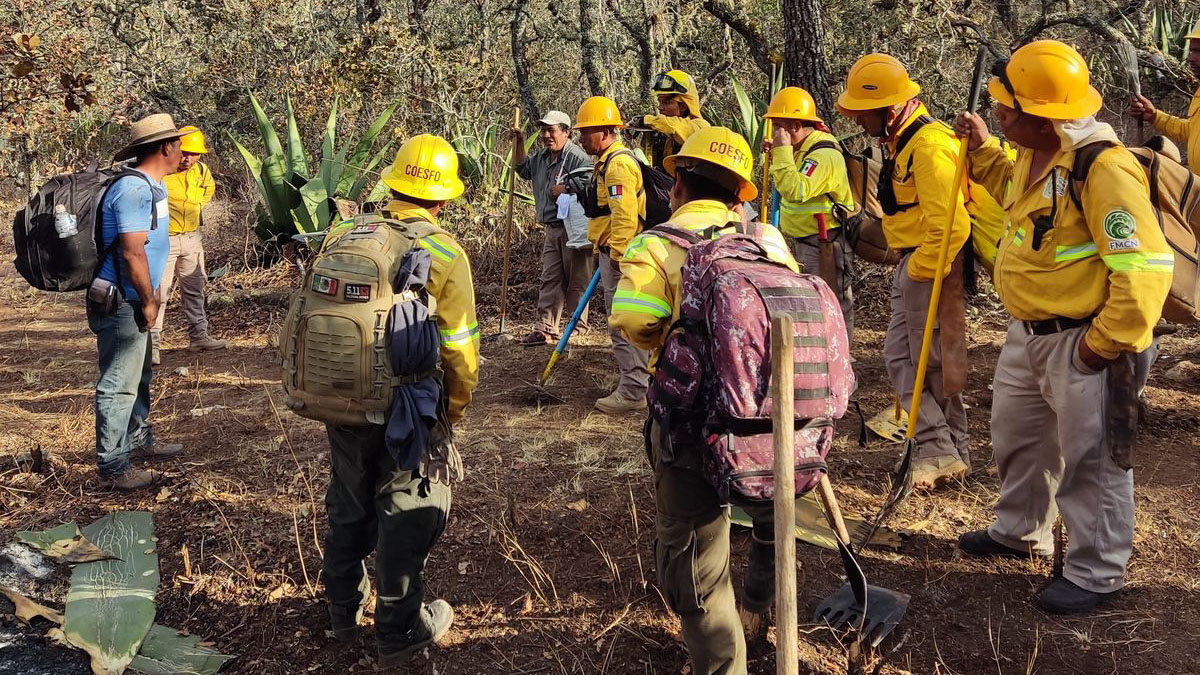 Acuerdan Coesfo, Conafor y Conanp atención a incendio forestal con autoridades de Tepelmeme Villa de Morelos