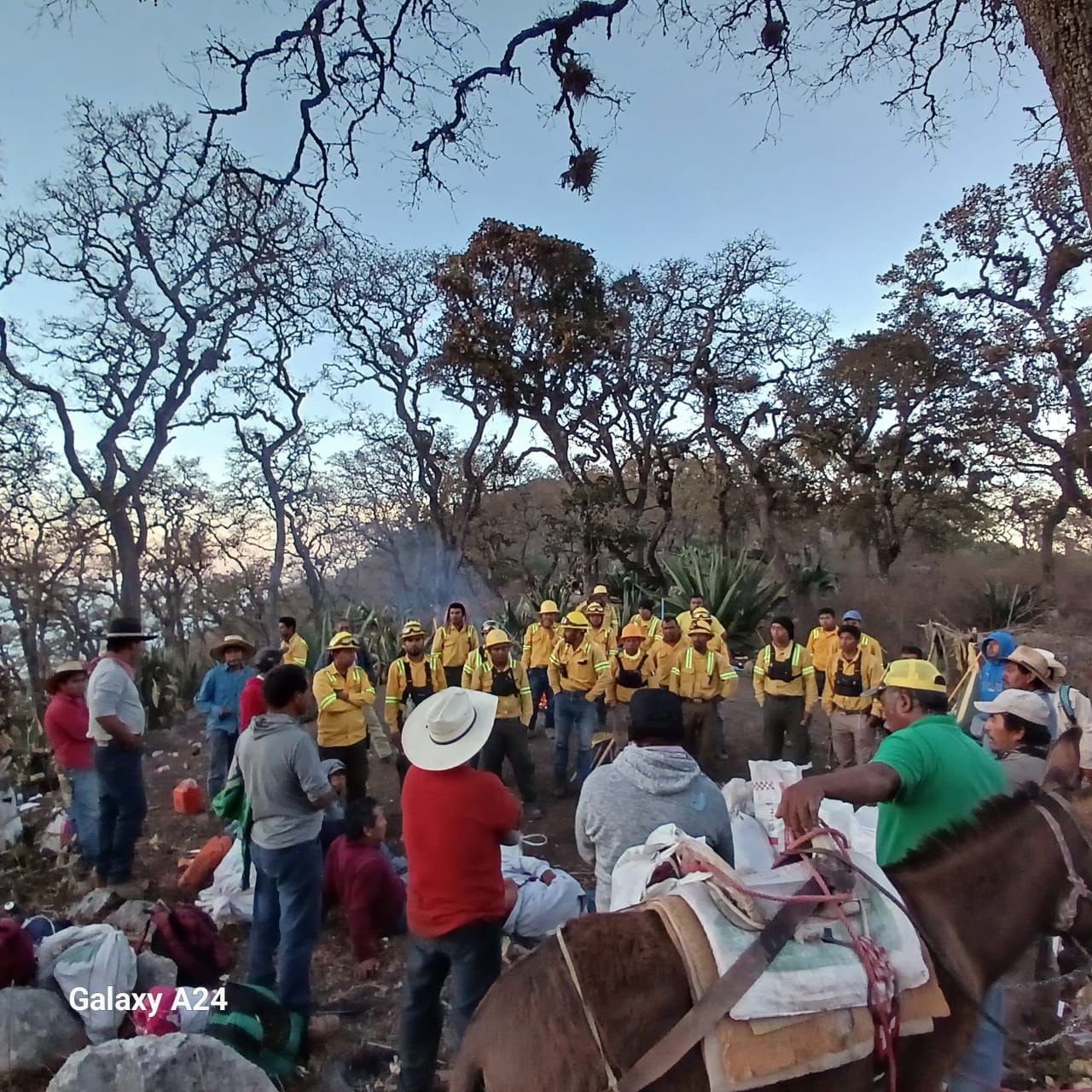 Combaten de manera crucial reactivación de incendio en Tepelmeme Villa de Morelos