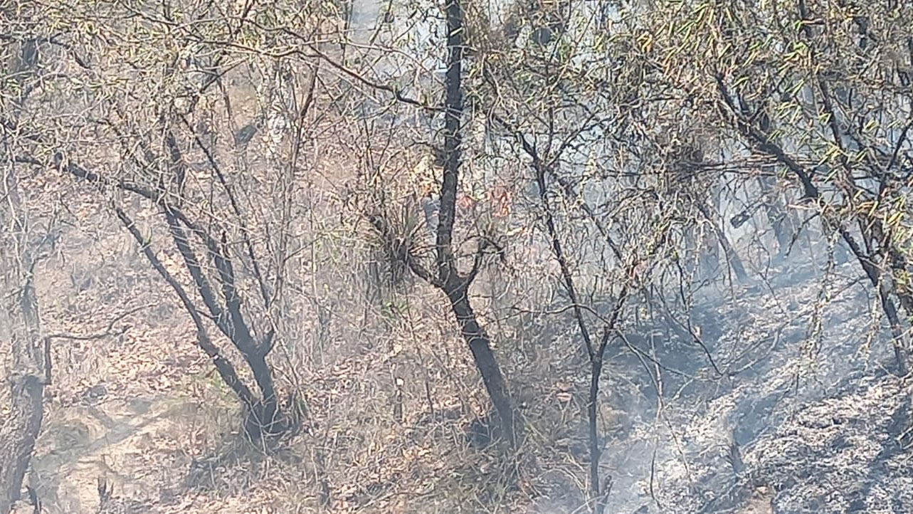 Atiende Coesfo incendio forestal en Ixtlán de Juárez