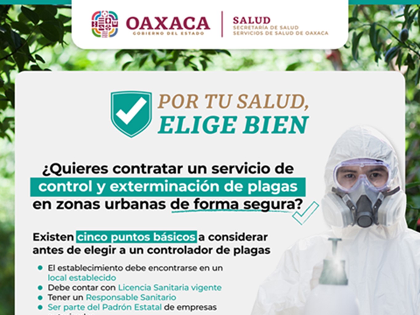 Emiten recomendaciones para contratar empresas seguras de exterminación de plagas