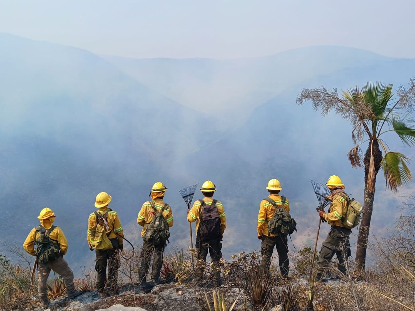 Reporta Coesfo 10 incendios forestales activos en la entidad