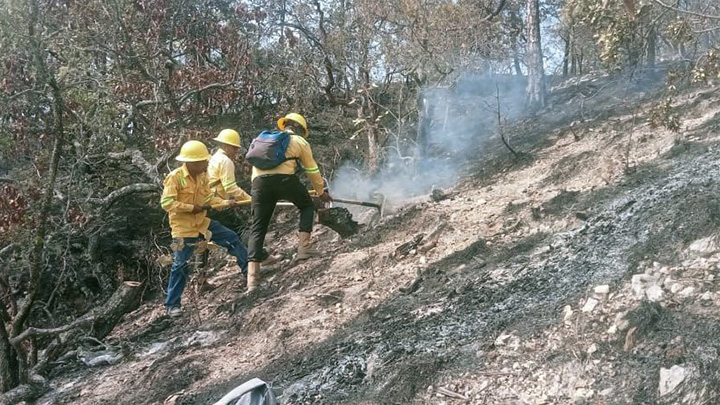 Controlan personas comuneras y Coesfo incendio forestal en la Mixteca al 100%