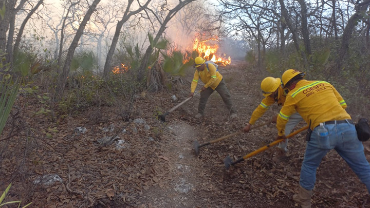 Refuerza Coesfo atención a incendio en San Francisco Telixtlahuaca