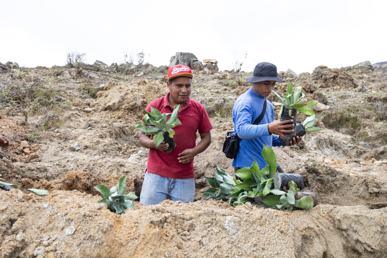 ¡Todo listo para arrancar la Jornada Estatal de Reforestación 2024 en San Lucas Quiaviní!