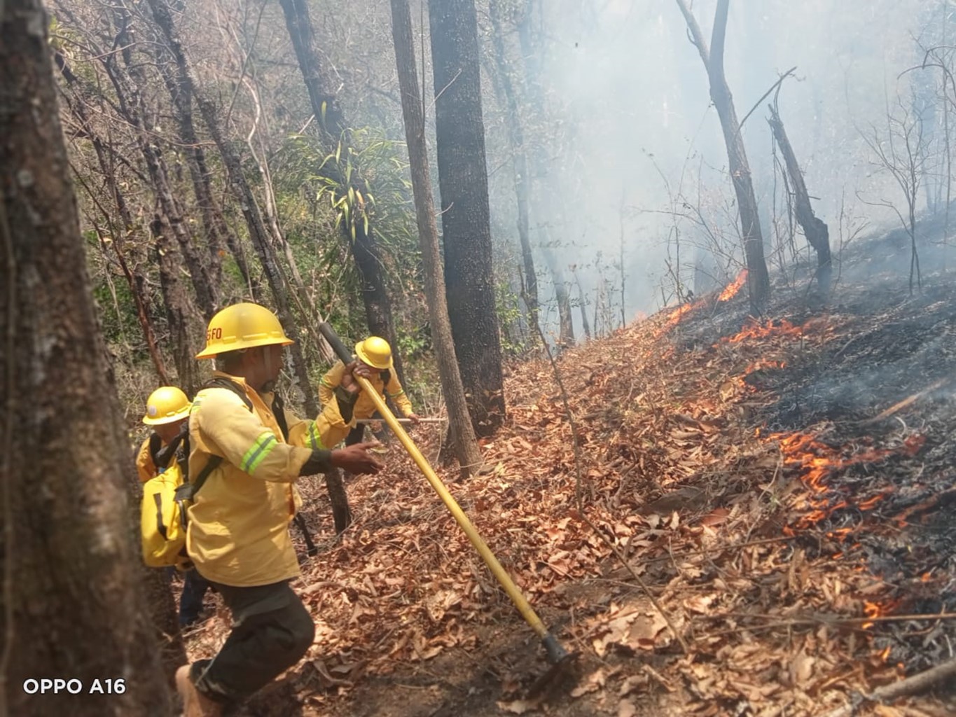 Controla Comisión Estatal Forestal reactivación de incendio en la Mixteca