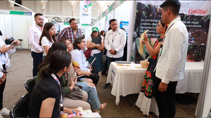 Oaxaca presente en el XXIII Concurso Nacional de Creatividad e Innovación Tecnológica de los CECyTEs 2024