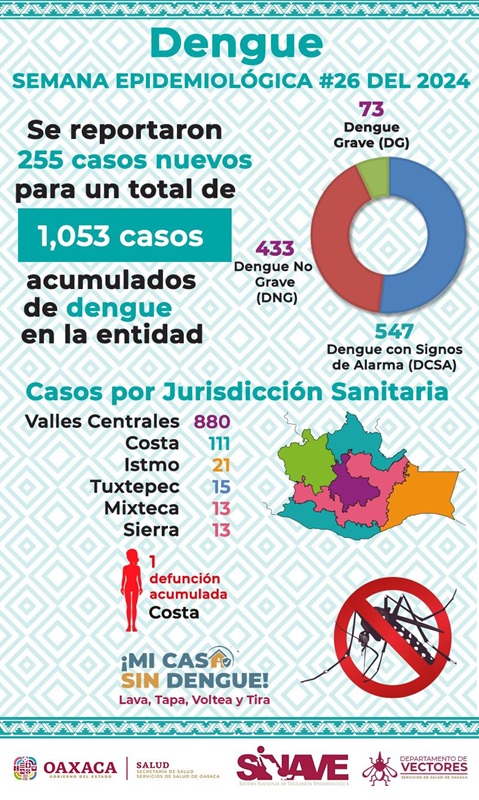 Registra SSO 255 casos nuevos de dengue