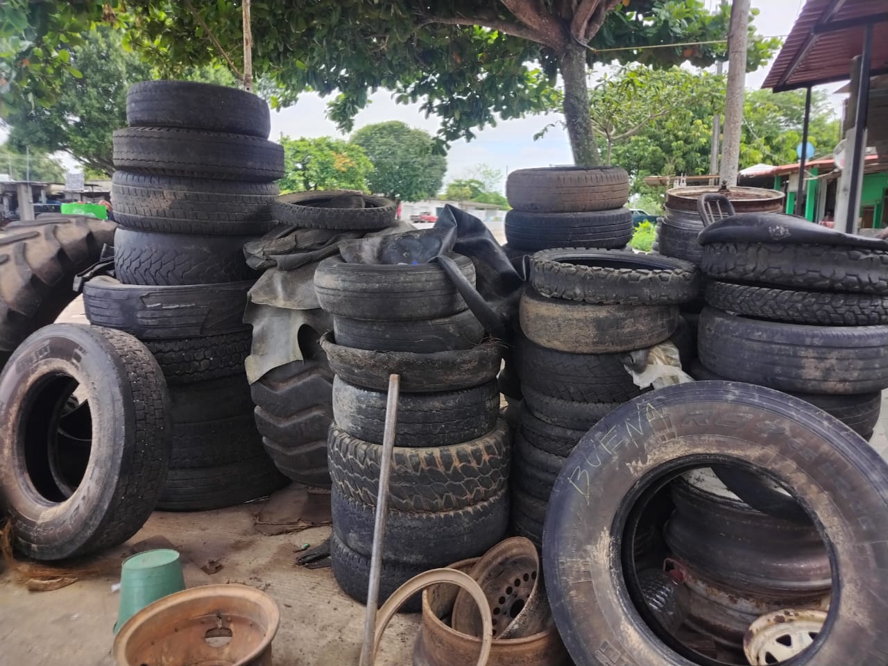 En la Cuenca del Papaloapan Realiza SSO verificaciones sanitarias en el combate al dengue