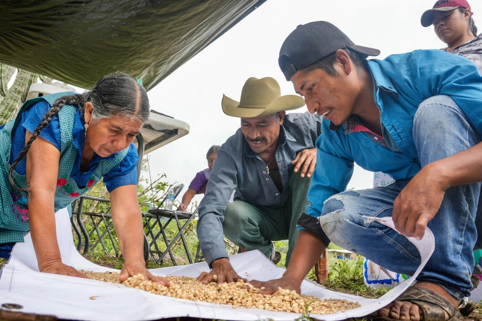 Capacita Sefader a productores de maíz en San Pedro Taviche