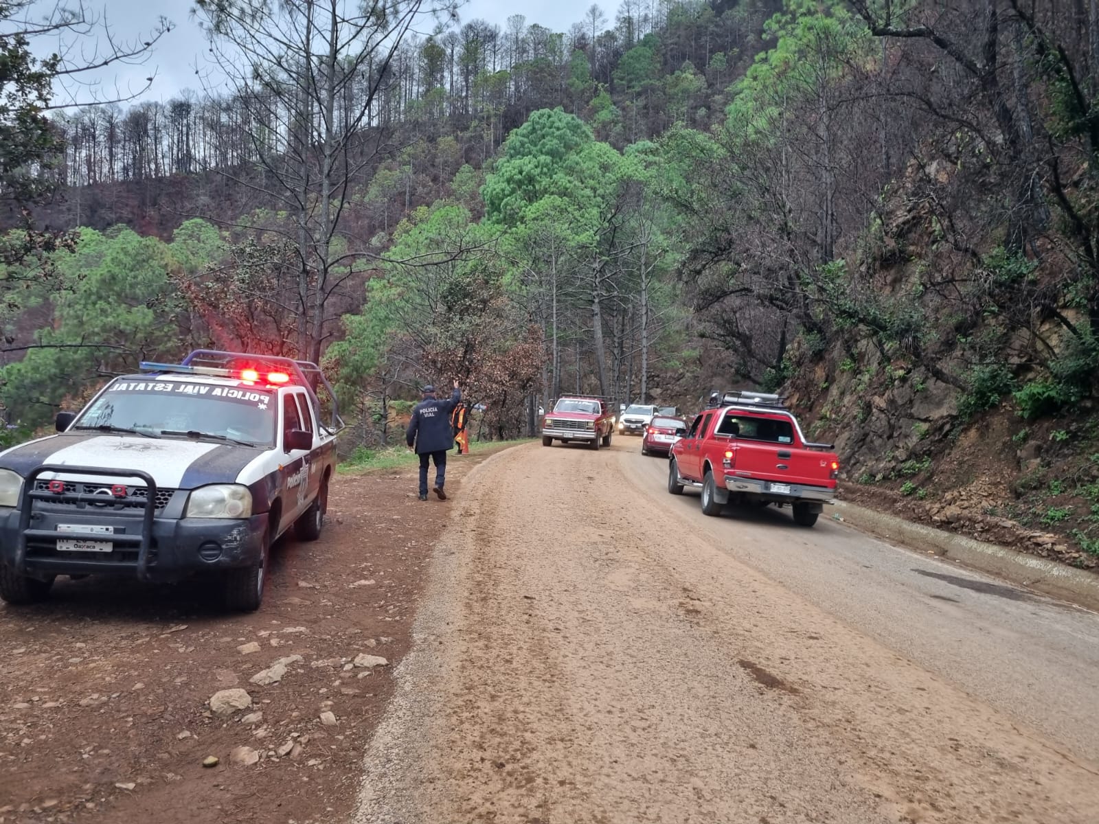 Reanudan circulación en la carretera Federal 175 de la Sierra de Juárez