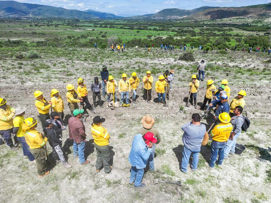 Impulsa Gobierno del Estado jornada de reforestación en Villa de Tamazulápam del Progreso