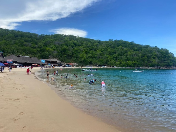 Las 14 playas de Oaxaca se encuentran aptas para su uso recreativo: SSO