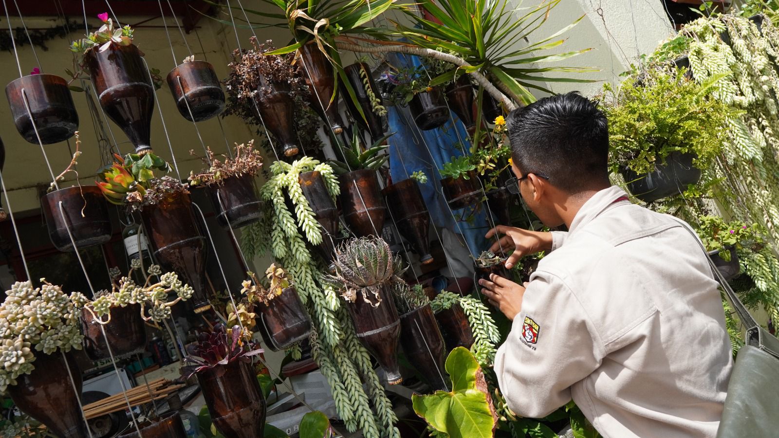 Actualiza SSO reporte epidemiológico de dengue