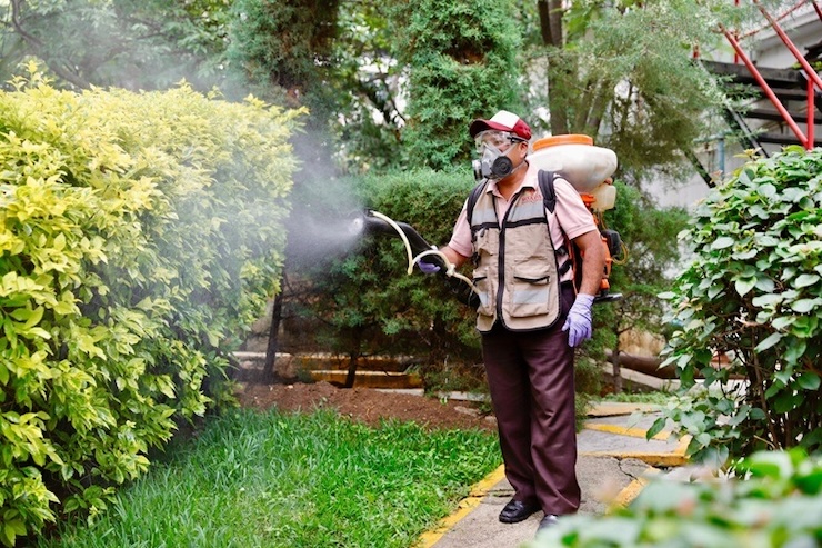 Contribuye Soapa a disminuir la propagación del mosquito transmisor de dengue