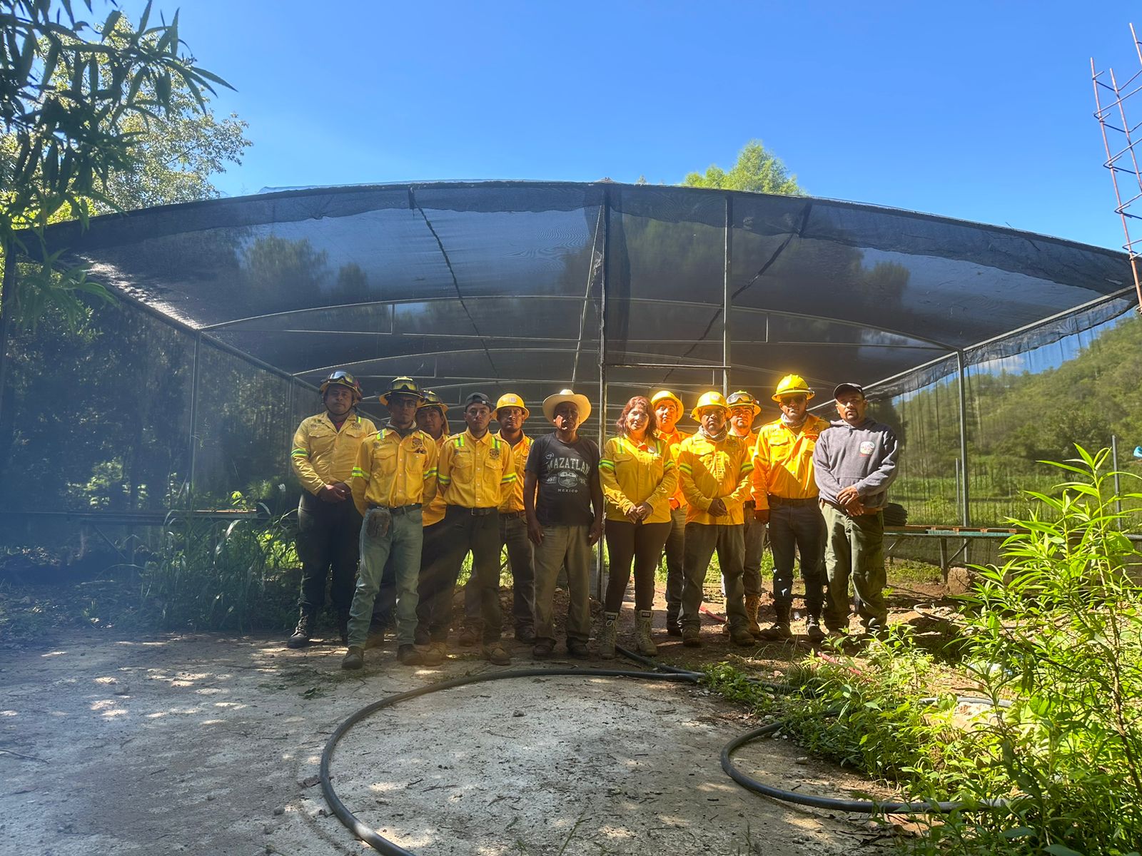 Jornada de Reforestación llega a Santa María Yosoyúa