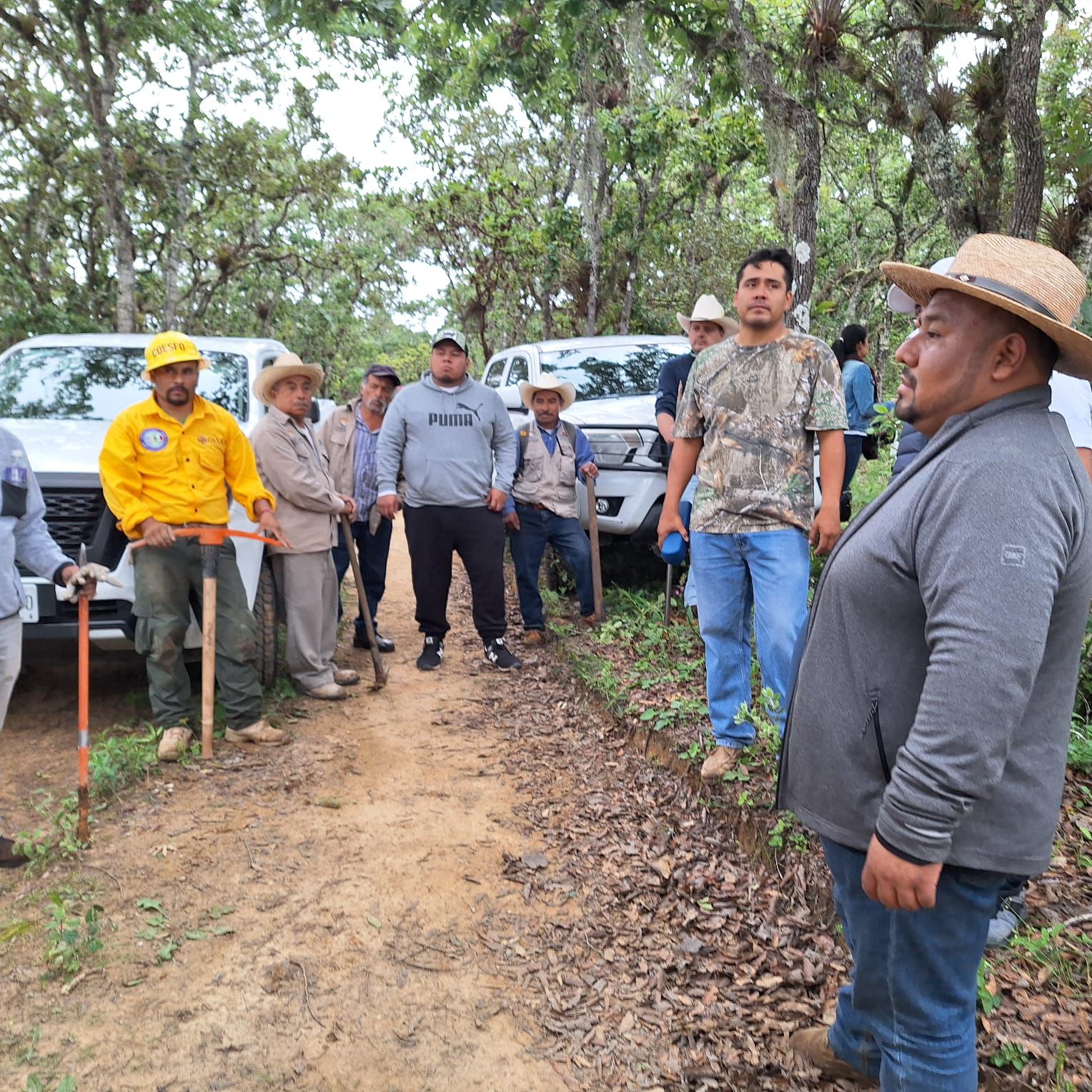 Participa Coesfo en la Jornada de Reforestación de San Pablo Huitzo