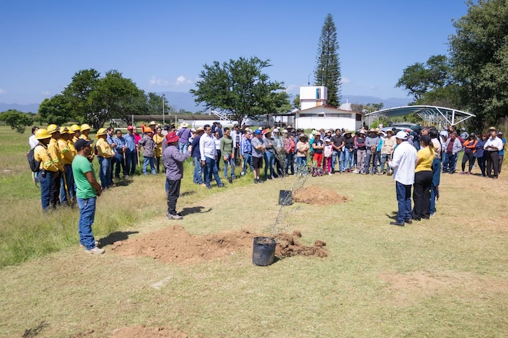 Plantan mil 200 árboles de Reforesta Oaxaca en el CIIDIR del Instituto Politécnico Nacional