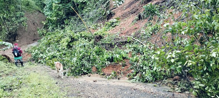 Exhortan a manejar con precaución en carretera Tlaxiaco-Putla