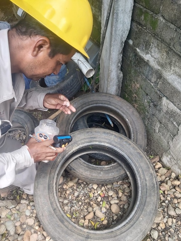 Llaman a seguir con acciones de patio y vivienda limpia