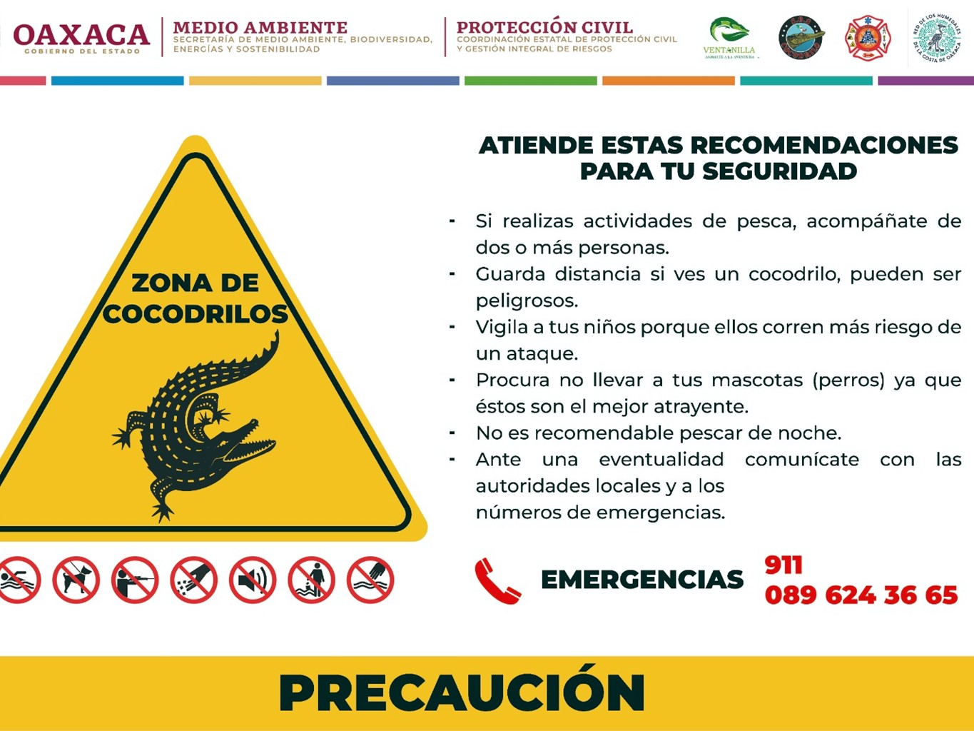 Emiten recomendaciones ante presencia de cocodrilos en playas de la Costa de Oaxaca