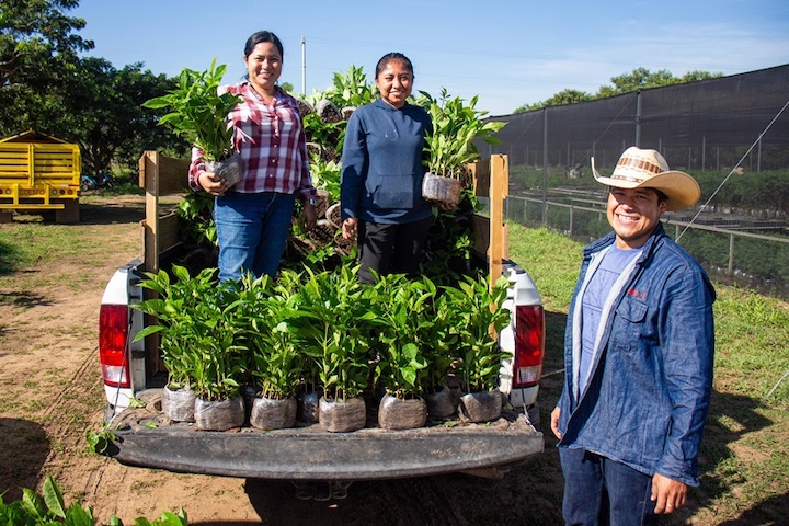 Emplea Coesfo más de 27 mdp en diversas acciones para salvaguardar el patrimonio natural de Oaxaca